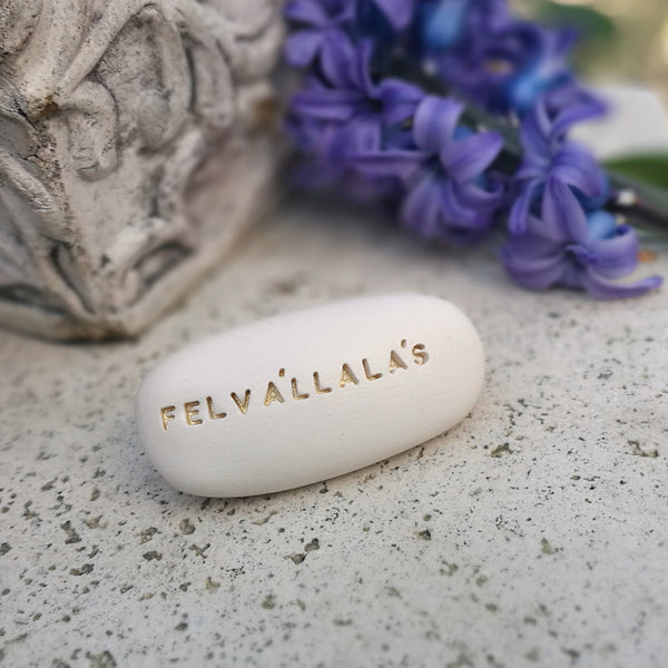 FELVÁLLALÁS - Self-knowledge, motivation with Magic Pebbles