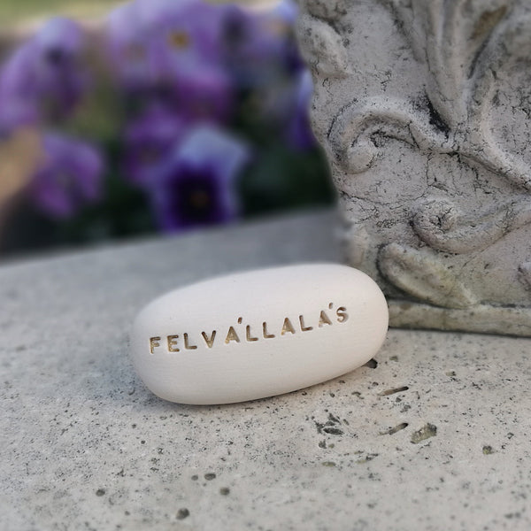 FELVÁLLALÁS - Self-knowledge, motivation with Magic Pebbles