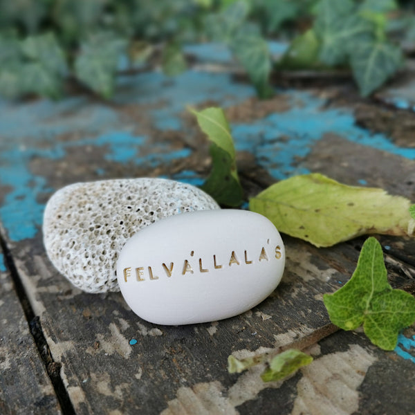 FELVÁLLALÁS - Self-knowledge, motivation with Magic Pebbles